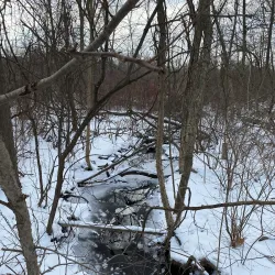 Wixom Nature Preserve - Wixom