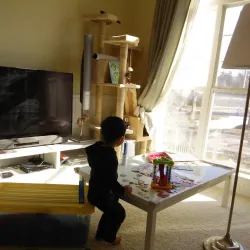 Wixom Skate Park - Wixom