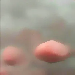 The Wyandotte Art Gallery - Wyandotte