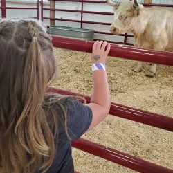 Sanilac County Fairgrounds - Yale