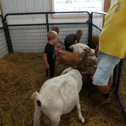 Sanilac County Fairgrounds - Yale