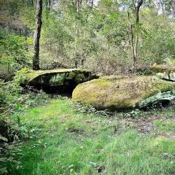 Sanilac Petroglyphs Historic State Park - Yale