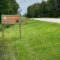 Sanilac State Forest - Yale