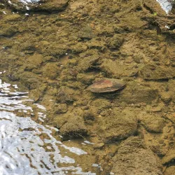 Yale City Park - Yale