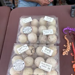 Yale Farmers Market - Yale