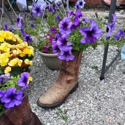 Yale Farmers Market - Yale
