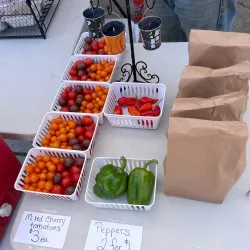 Yale Farmers Market - Yale