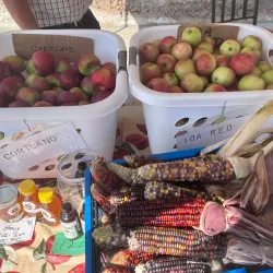 Yale Farmers Market - Yale