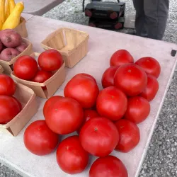 Yale Farmers Market - Yale