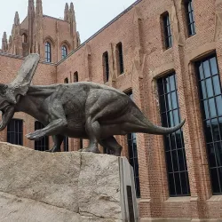 Yale Historical Museum - Yale