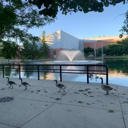 Eastern Michigan University Campus - Ypsilanti