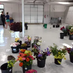 Ypsilanti Farmers Market - Ypsilanti