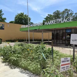 Ypsilanti Farmers Market - Ypsilanti
