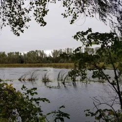 Albert Lea Lake - Albert Lea