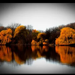 Albert Lea Lake - Albert Lea