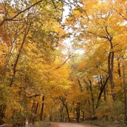 Myre-Big Island State Park - Albert Lea
