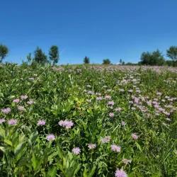 Myre-Big Island State Park - Albert Lea