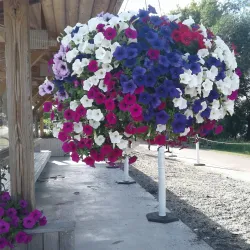 Big Ole Viking Statue - Alexandria