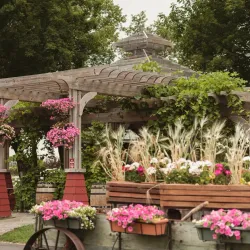 Carlos Creek Winery - Alexandria