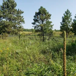 Central Lakes Trail - Alexandria