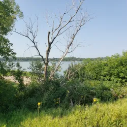 Central Lakes Trail - Alexandria