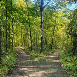 Lake Carlos State Park - Alexandria