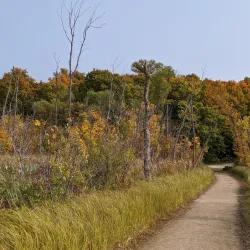 Lake Carlos State Park - Alexandria