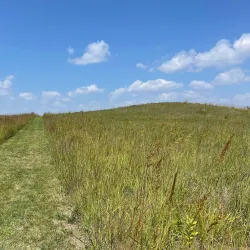 Lake Carlos State Park - Alexandria
