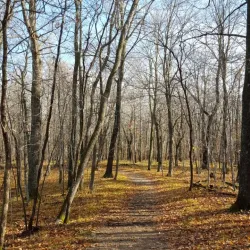 Lake Carlos State Park - Alexandria