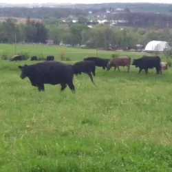 Apple Valley Historical Society - Apple Valley