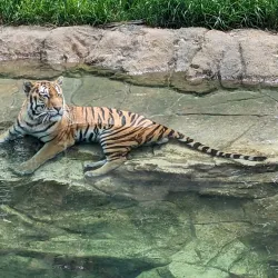 Minnesota Zoo - Apple Valley