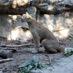 Minnesota Zoo - Apple Valley