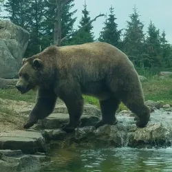 Minnesota Zoo - Apple Valley