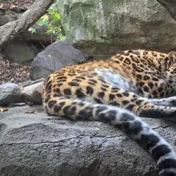 Minnesota Zoo - Apple Valley