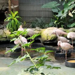 Minnesota Zoo - Apple Valley