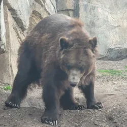 Minnesota Zoo - Apple Valley