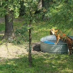 Minnesota Zoo - Apple Valley