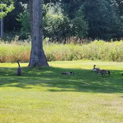 Valleywood Golf Course - Apple Valley