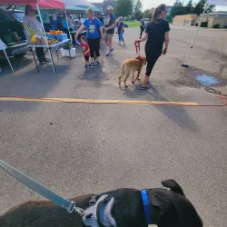 Austin Farmers Market - Austin