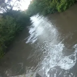 Austin Farmers Market - Austin