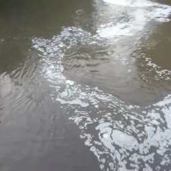 Austin Farmers Market - Austin