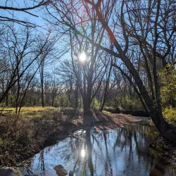 Jay C. Hormel Nature Center - Austin
