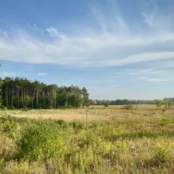 Jay C. Hormel Nature Center - Austin