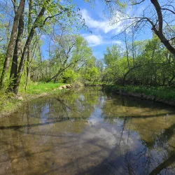 Jay C. Hormel Nature Center - Austin