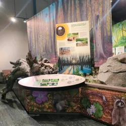 Jay C. Hormel Nature Center - Austin