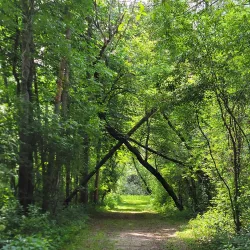 Jay C. Hormel Nature Center - Austin