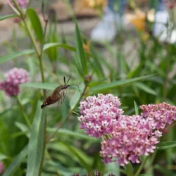 Baxter Hills Trail - Brainerd