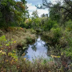 Baxter Hills Trail - Brainerd