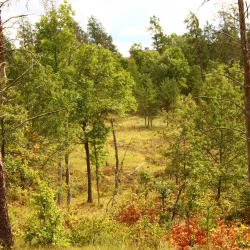 Baxter Hills Trail - Brainerd