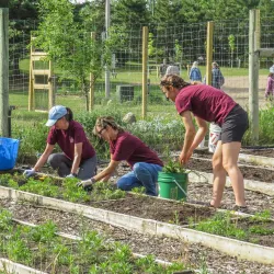 Baxter Hills Trail - Brainerd